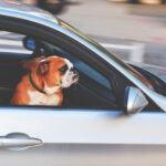 Consejos para Comprar Coche