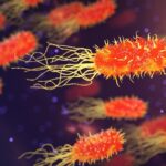 En que afecta el coronavirus, tramites con tu coche.