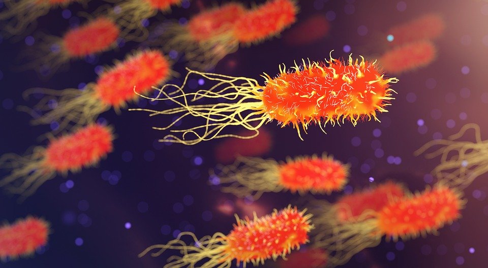 En que afecta el coronavirus, tramites con tu coche.