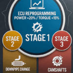 ¿Qué significa STAGE 3?