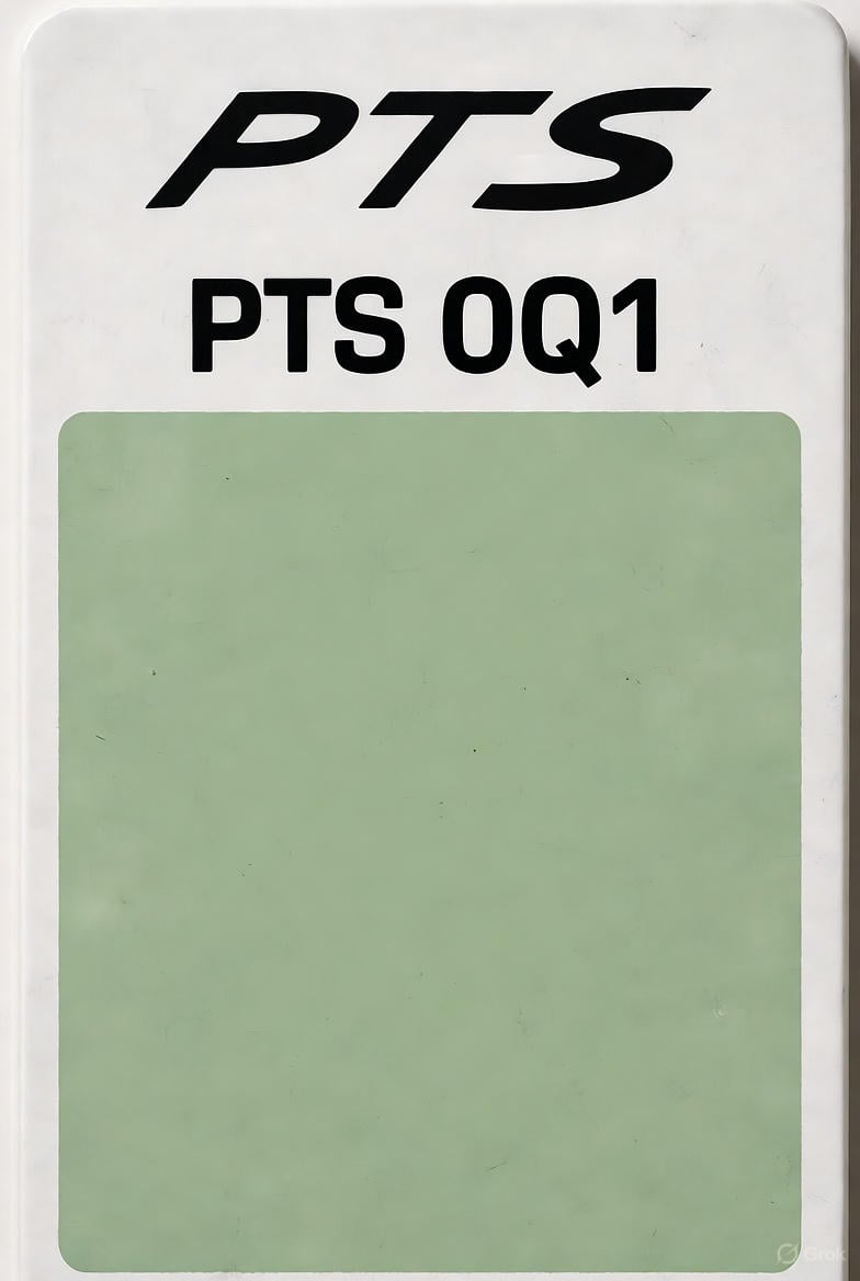 ¿Qué es la pintura PTS en Porsche?